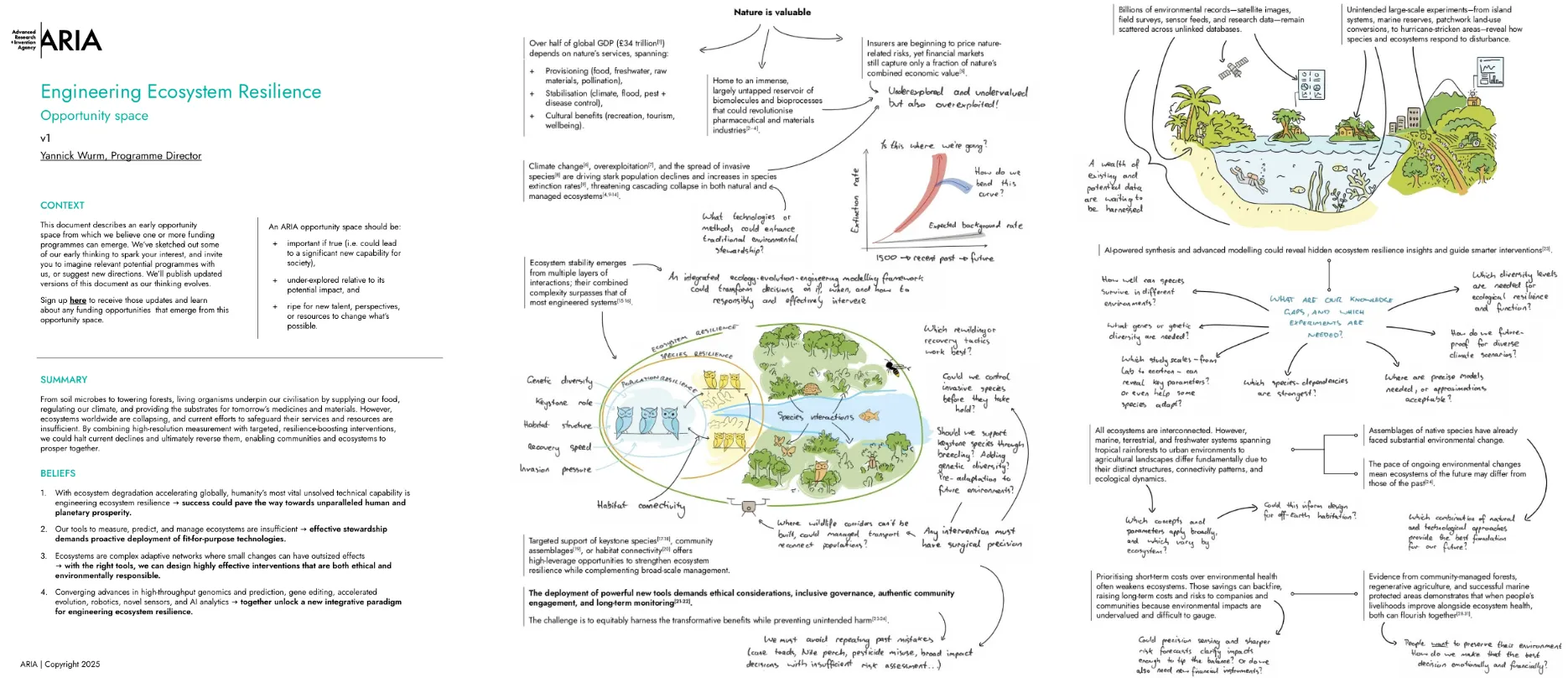 The three pages of the original opportunity-space document: typeset context, summary, and beliefs alongside hand-drawn ecosystems, an extinction-rate curve, and handwritten questions about resilience, interventions, and knowledge gaps
